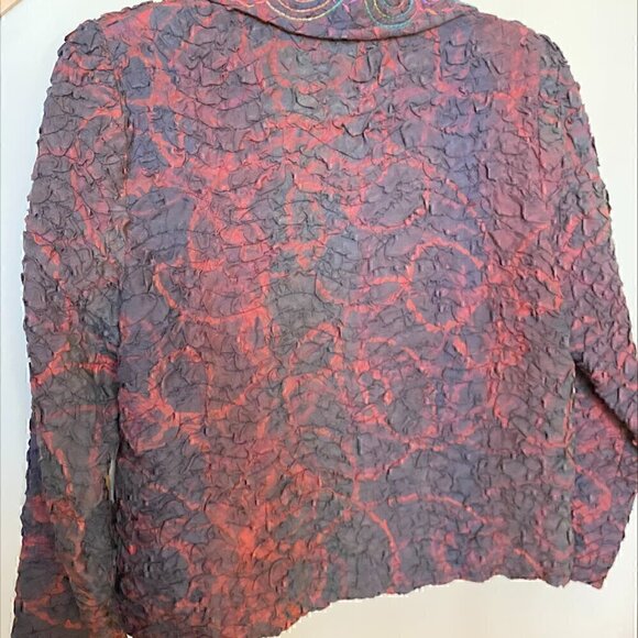 RARE FIND - VINTAGE Anna Carlson Crushed Silk Jacket Rainbow Stitching   Small - Picture 2 of 7